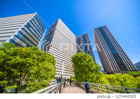 日本の東京都市景観 4月・新緑の官庁街・霞が関の文部科学省や霞が関ビルなどを望む 125440585