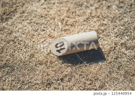 モルック 125440954