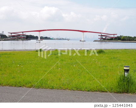 中の島大橋（木更津市） 125441043