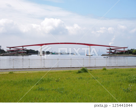 中の島大橋（木更津市） 125441044