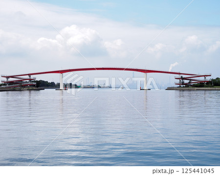 中の島大橋（木更津市） 125441045