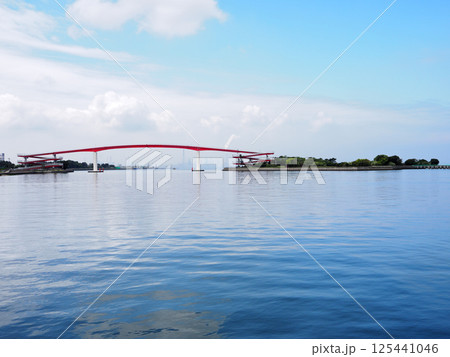 中の島大橋(木更津市) 中の島大橋(木更津市) 125441046