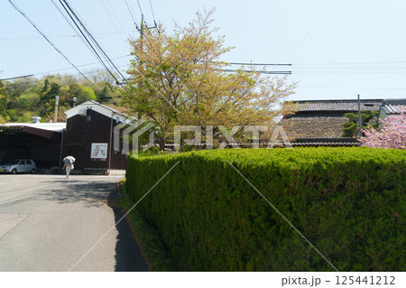 伊賀、陶芸の里 伊賀、陶芸の里 125441212