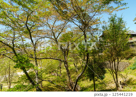 伊賀、陶芸の里 125441219