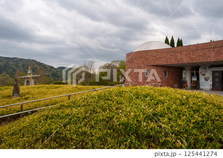 信楽、陶芸館 信楽、陶芸館 125441274