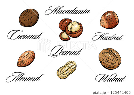 Different types of nuts with names and elegant font labels 125441406