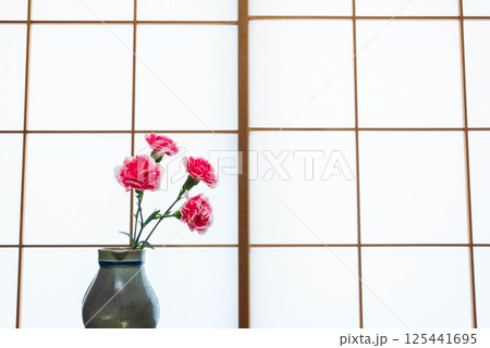 カーネーション カーネーション 125441695