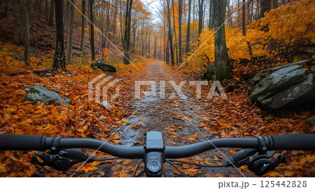 bike ride along country trail in autumn 125442828