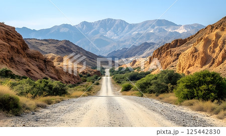 road trip through desert highway 125442830