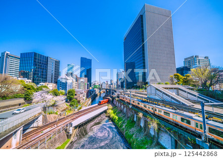 日本の東京都市景観 新景。御茶ノ水駅前の聖橋から渦巻く花筏と丸ノ内線2000系。二度とない光景… 125442868