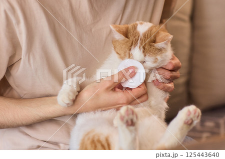 Ensuring Your Rabbits Ear Health with Gentle and Caring Cleaning Practices is Vital 125443640