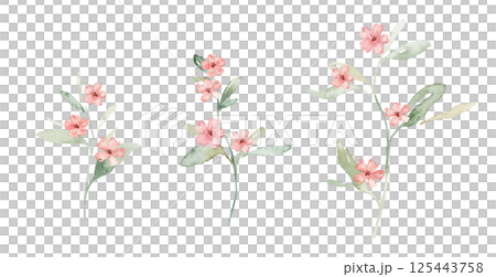 Watercolor set of pink flowers spots and green leaves. Hand drawn illustration buds on isolated white background. Soft pastel iridescent watercolors. 125443758
