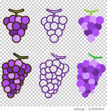 Set of 6 variations of grape illustrations 125443923