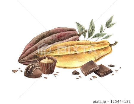 Brown and yellow long shaped cocoa beans, green leaves and chocolate candies. Hand drawn watercolor illustration on isolated background, suitable for product packaging, chocolate and organic branding. Brown and yellow long shaped cocoa beans, green leaves and chocolate candies. Hand drawn watercolor illustration on isolated background, suitable for product packaging, chocolate and organic branding. 125444182