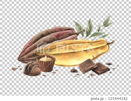 Brown and yellow long shaped cocoa beans, green leaves and chocolate candies. Hand drawn watercolor illustration on isolated background, suitable for product packaging, chocolate and organic branding. Brown and yellow long shaped cocoa beans, green leaves and chocolate candies. Hand drawn watercolor illustration on isolated background, suitable for product packaging, chocolate and organic branding. 125444182