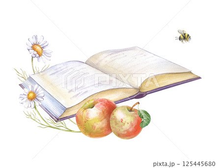 An open book with apples and a pair of daisies lying next to it is hand-drawn on a white background. Watercolor illustration. Isolated. Summer theme. Picnic. Relaxing in the garden. 125445680