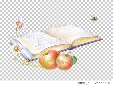 An open book with apples and a pair of daisies lying next to it is hand-drawn on a white background. Watercolor illustration. Isolated. Summer theme. Picnic. Relaxing in the garden. 125445680