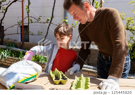 Backyard planting: child and adult sow seeds in recycled egg cartons 125445820