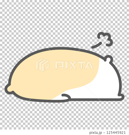A tired golden hamster A tired golden hamster 125445921