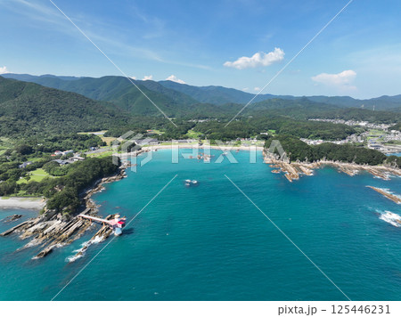 高知県土佐清水市　桜浜の風景 125446231