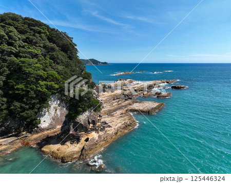 高知県土佐清水市　竜串海岸の風景 125446324