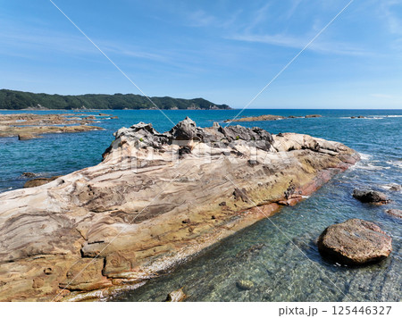 高知県土佐清水市　竜串海岸の風景 125446327