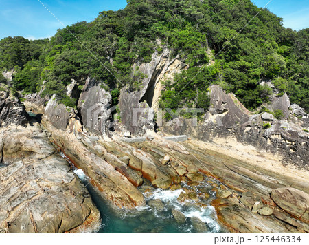 高知県土佐清水市　竜串海岸の風景 125446334