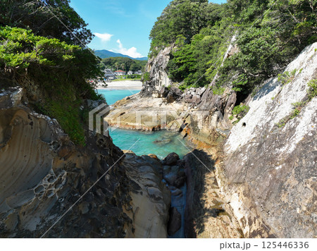 高知県土佐清水市　竜串海岸の風景 125446336