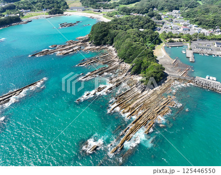 高知県土佐清水市　竜串海岸の風景 125446550