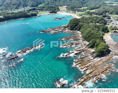 高知県土佐清水市　竜串海岸の風景 125446551