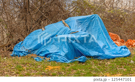 Blue Tarpulin Cover Garden Blue Tarpulin Cover Garden 125447101