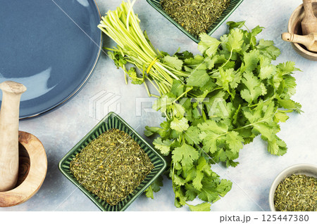 Cilantro herb leaf 125447380