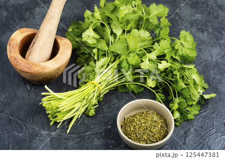 Cilantro herb leaf 125447381