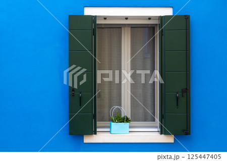 Green shutters and blue planter on Burano wall Green shutters and blue planter on Burano wall 125447405