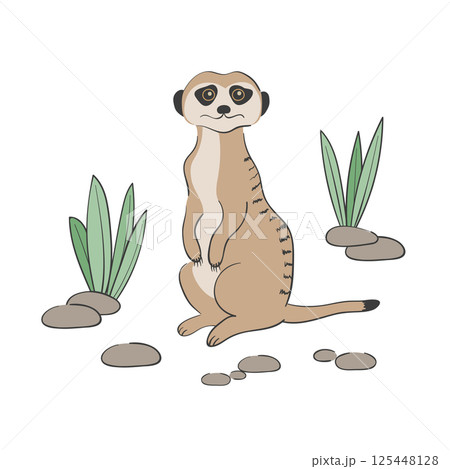 Cute cartoon Meerkat isolated on white background 125448128