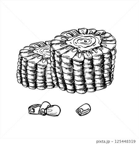 Corn cob segment vector isolated illustration painted by black inks. Round Mexican maize or corncob for cooking. Fresh vegetable etching drawing for farm to table branding, organic food packaging. 125448319