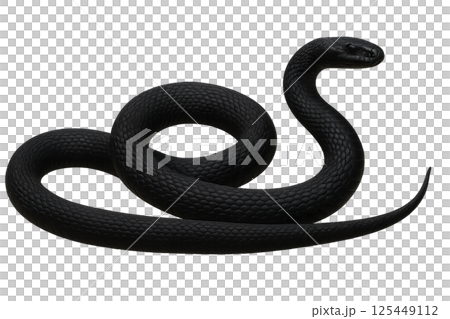 Black Snake Coiled With Distinct Texture in a Smooth, Curved Position Black Snake Coiled With Distinct Texture in a Smooth, Curved Position 125449112