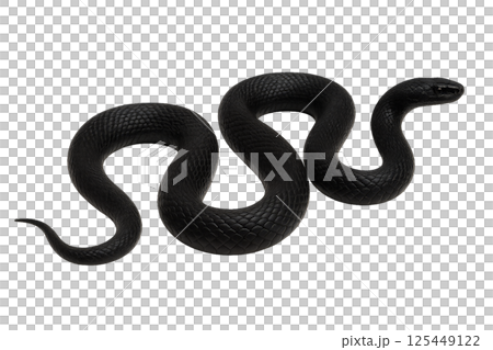 Black Snake Slithering Gracefully Across a Smooth Surface During the Day 125449122
