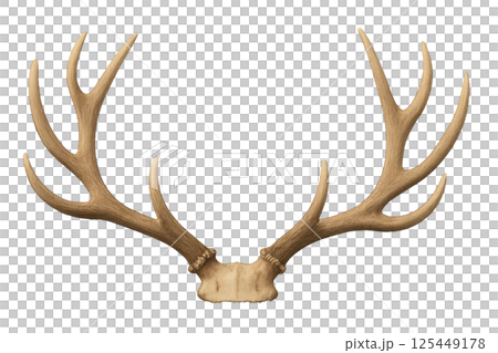 Impressive Deer Antlers Showcasing Intricate Details and Natural Texture 125449178