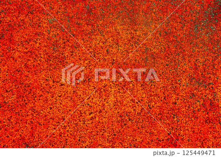 Plaster background of embossed plaster, changed colors. 125449471