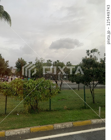 A cloudy morning in the park. A cloudy morning in the park. 125449743