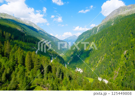 Mountain valley and forest. Mountain landscapes during summer.  125449808