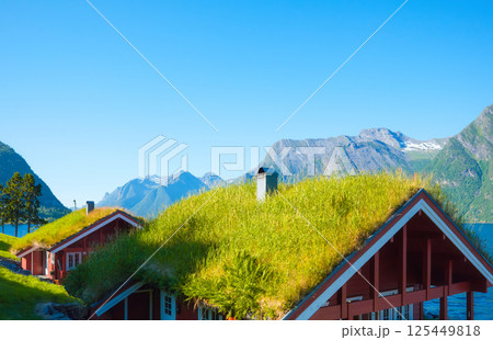 Norway. Traditional house with moss on the roof.  Nature in fjords.  125449818