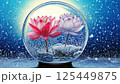 スノードームの中にある紅白の蓮 125449875