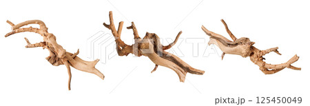 set old dry driftwood tree branch on an isolated white background set old dry driftwood tree branch on an isolated white background 125450049