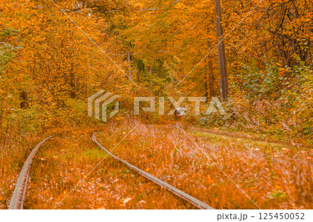 Autumn forest through which the tram travels, Kyiv and rails 125450052