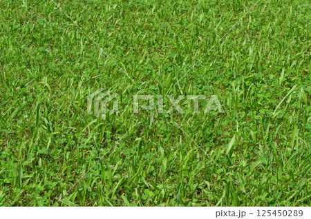 東京の田舎　八王子市 125450289