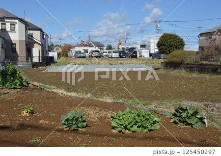 東京の田舎　八王子市 125450297