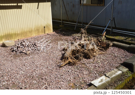 東京の田舎　八王子市 125450301