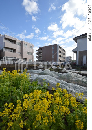 東京の田舎　八王子市 125450306